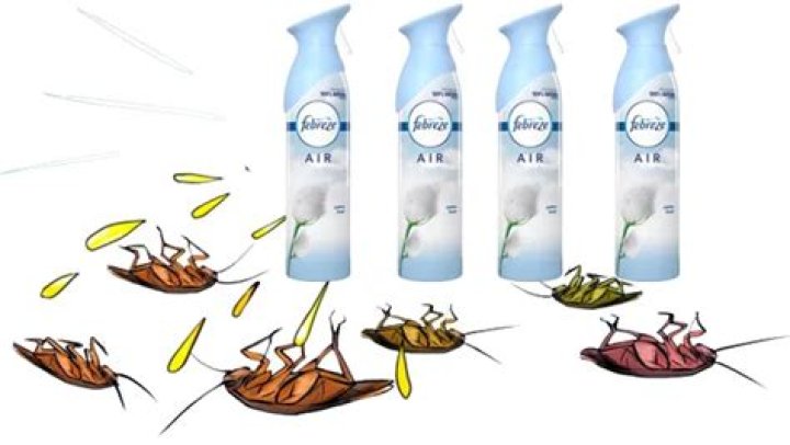 Do air fresheners attract bugs?