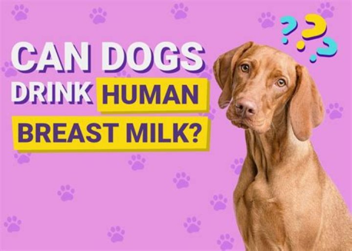 Do all dogs drink backwards?