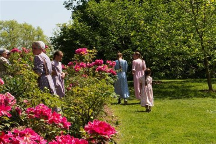 Do Amish use mirrors?