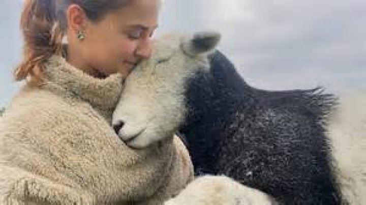 Do animals feel love?