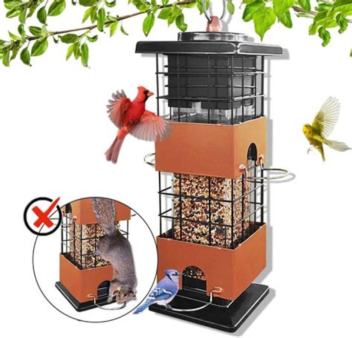 Do birds like shiny bird feeders?