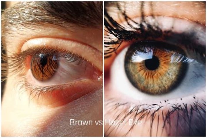 Do brown eyes have any advantages?