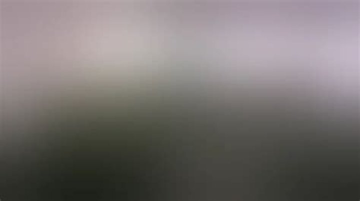 Do buds get bigger last 2 weeks?