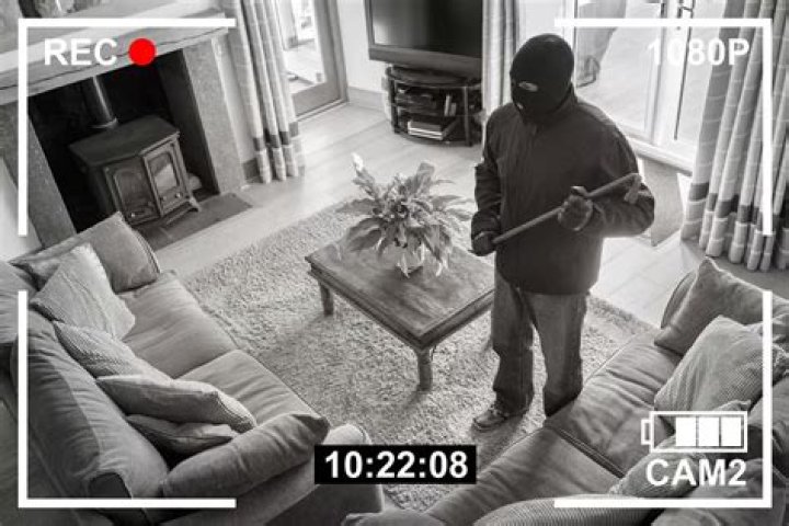 Do cameras stop burglars?