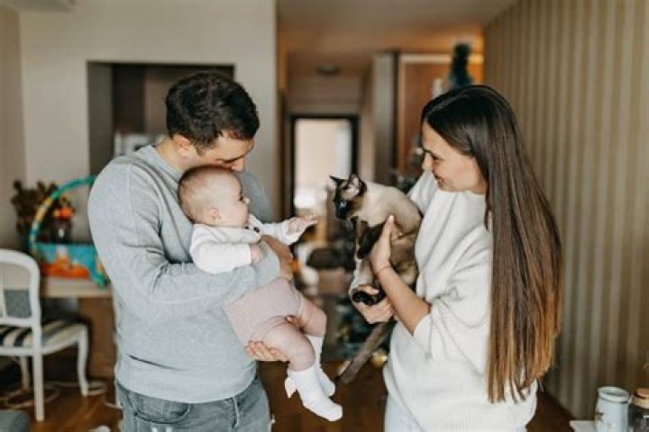 Do cats get jealous of babies?