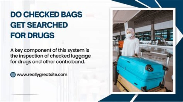 Do checked bags get searched?
