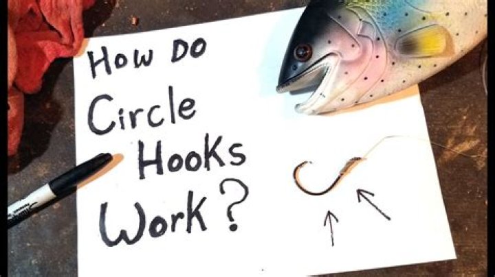 Do circle hooks work for trout?