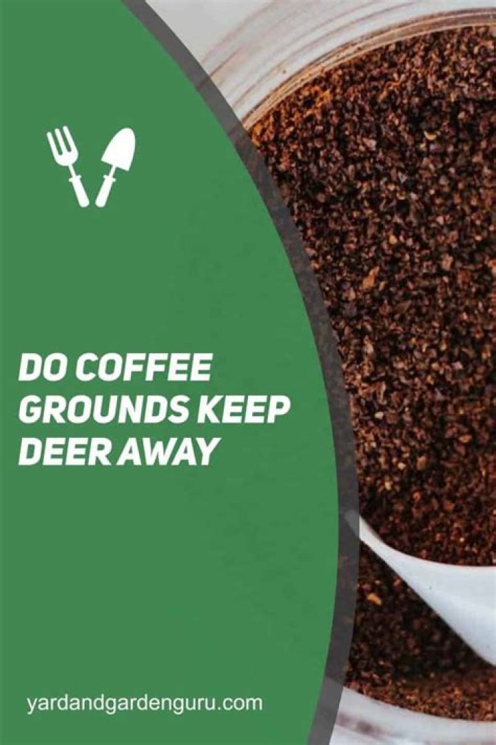 Do coffee grounds keep deer away?