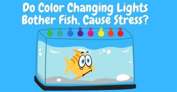 Do colored lights bother fish?
