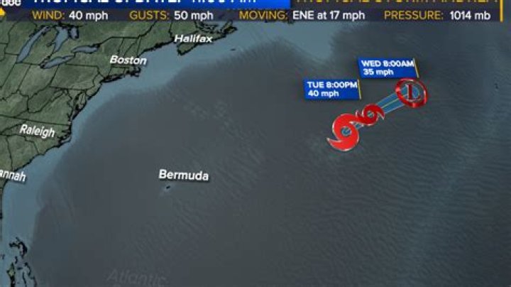 Do divers ever hit the platform?