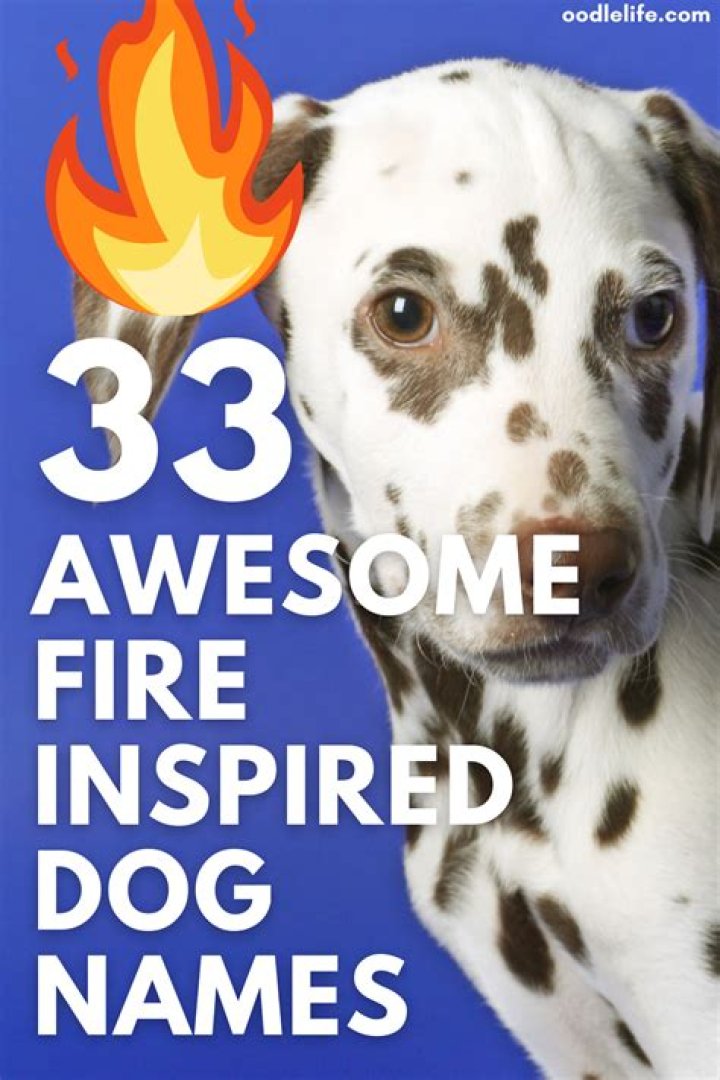 Do dogs actually know their names?