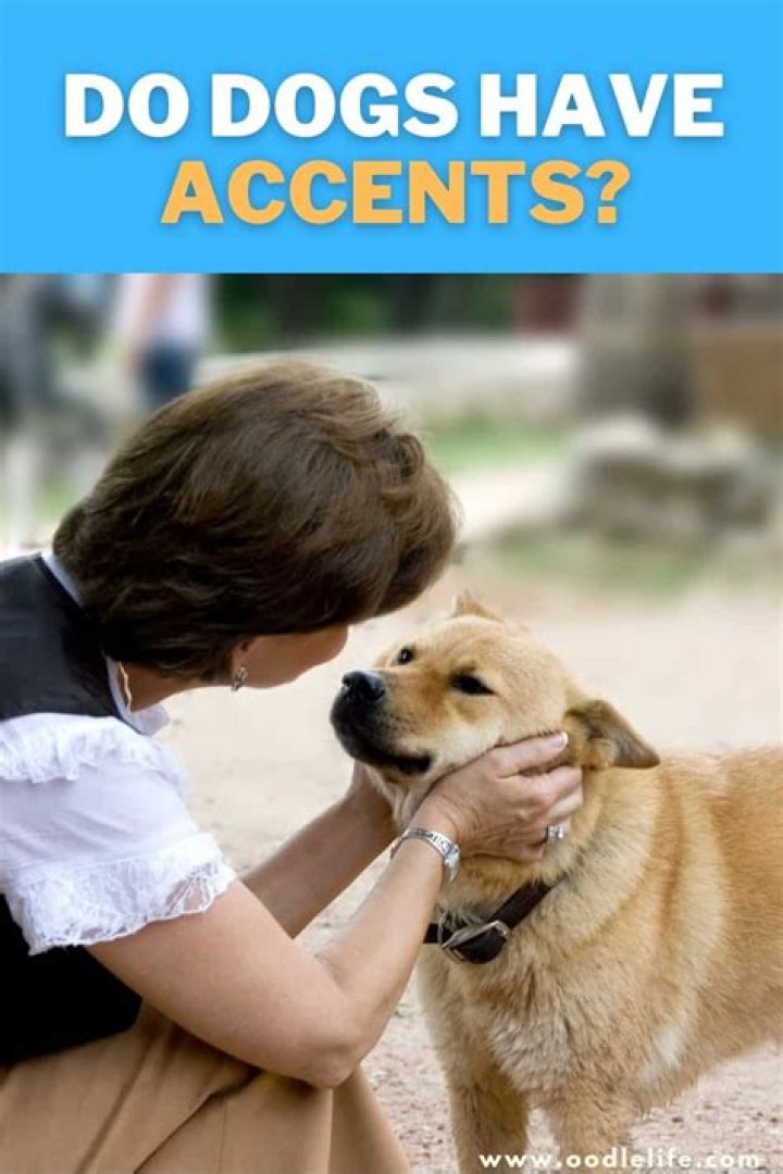 Do dogs have accents?