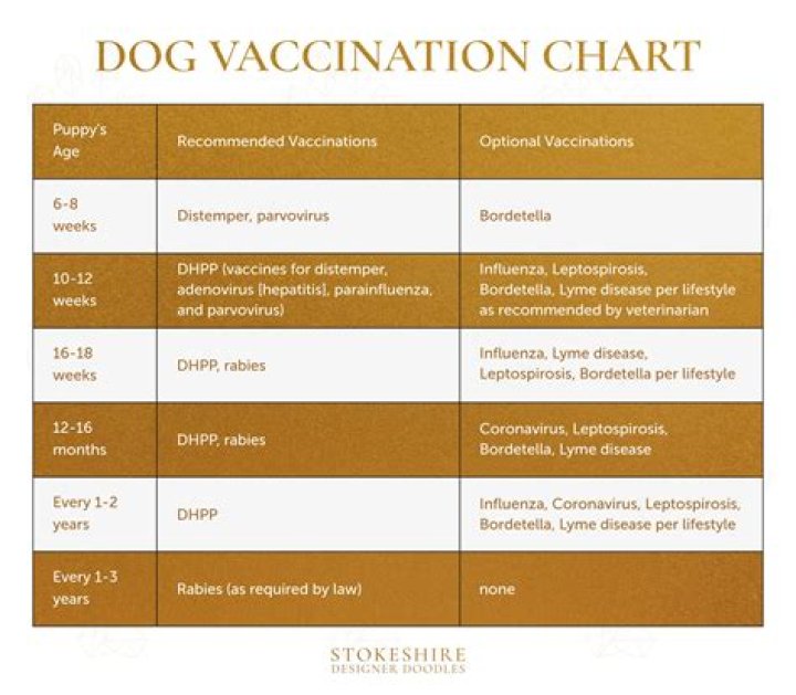 Do dogs need parvo shots every year?