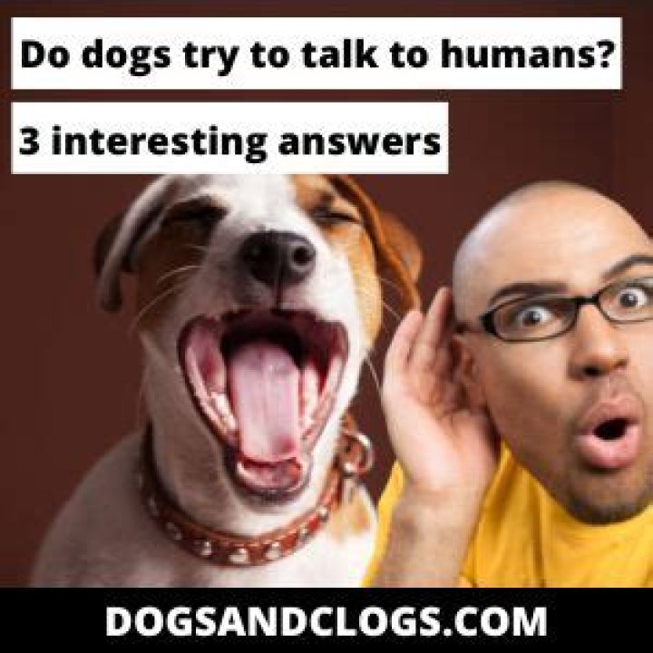 Do dogs try to talk?