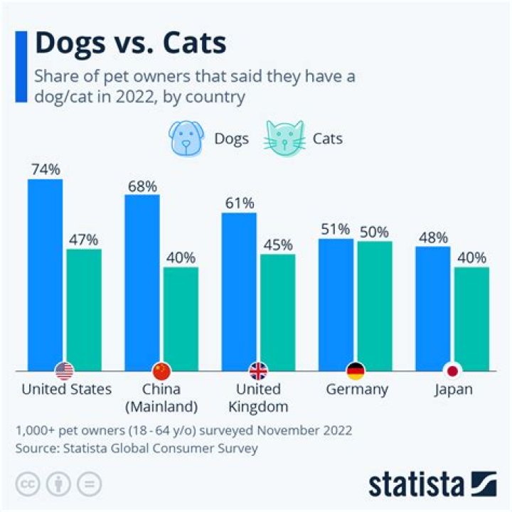 Do dogs want to hurt cats?