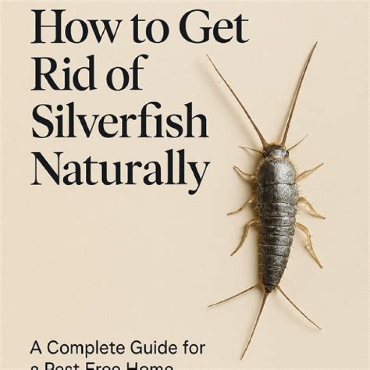 Do dry bay leaves get rid of silverfish?