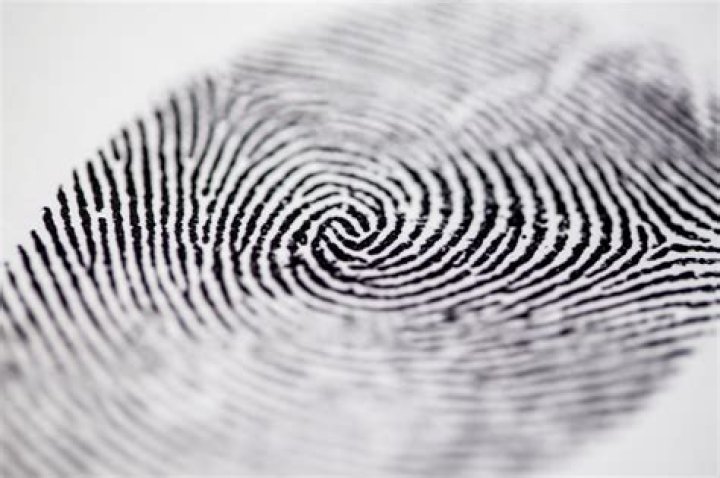 Do fingerprints remain the same from birth to death?