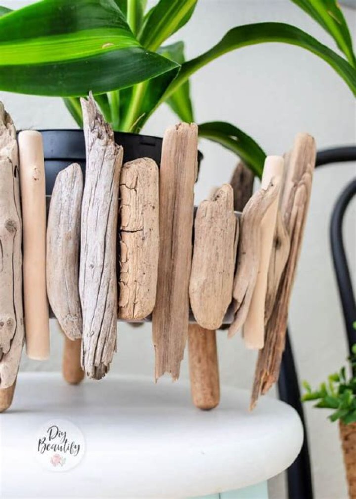 Do I need to boil store bought driftwood?