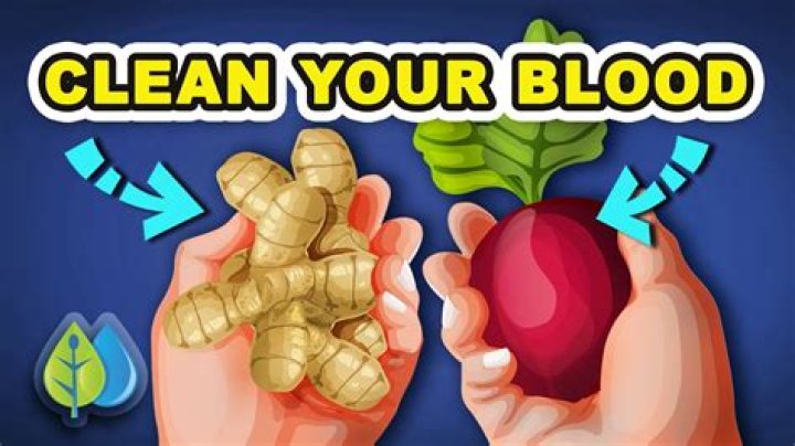 Do lemons clean your blood?