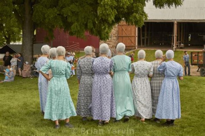 Do Mennonites have to pay taxes?