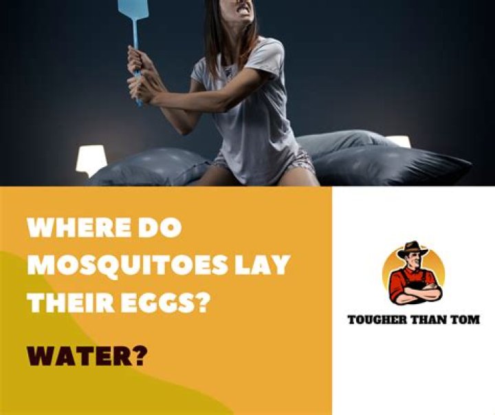 Do mosquitoes lay eggs when they bite you?