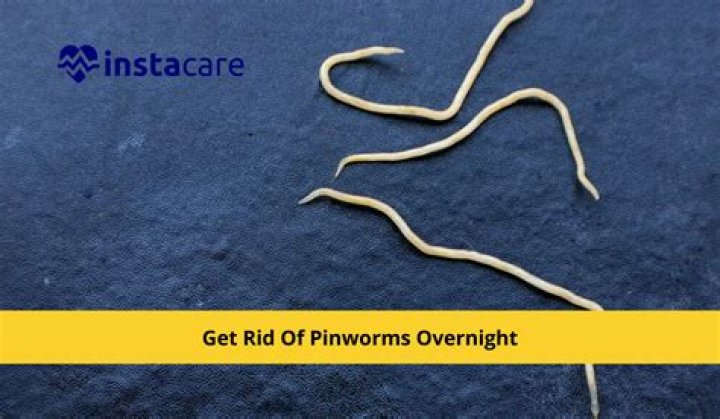 Do pinworms crawl out at night?