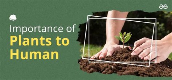 Do plants understand humans?