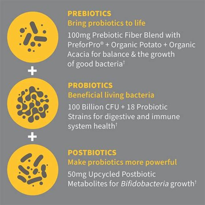 Do probiotics help MS?