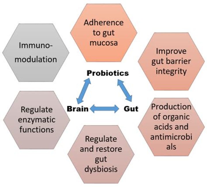 Do probiotics increase inflammation?