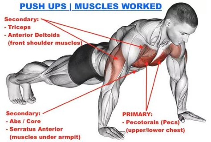 Do push ups build chest?