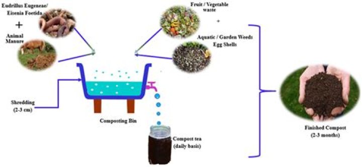 Do seeds decompose in compost?
