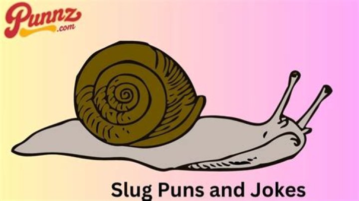 Do slugs communicate?