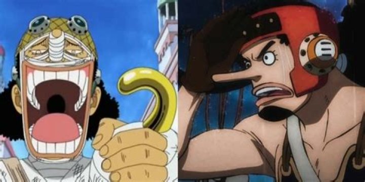 Do the Straw Hats know that Usopp is Sogeking?