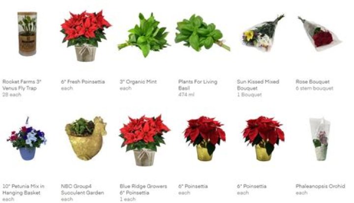 Does Aldi sell flowers?