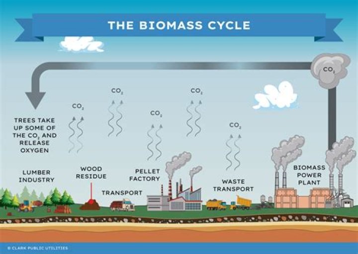 Does biomass create pollution?