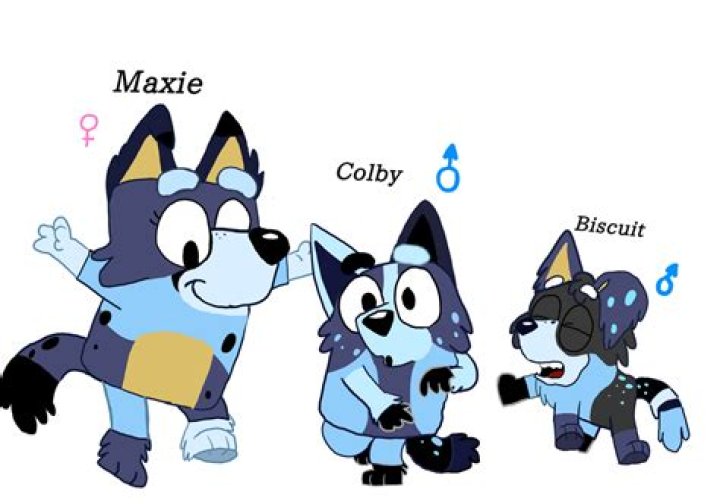 Does Bluey have a crush?