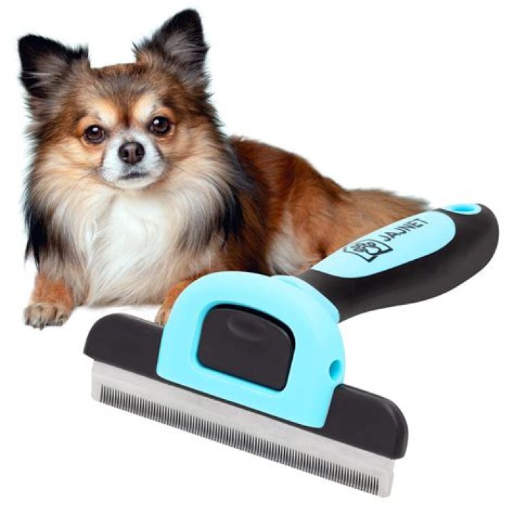 Does brushing a dog help with shedding?