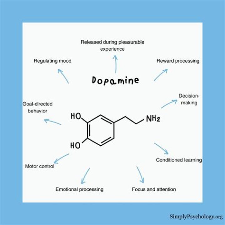 Does coffee release dopamine?