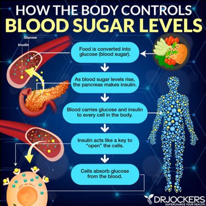 Does cornmeal increase blood sugar?
