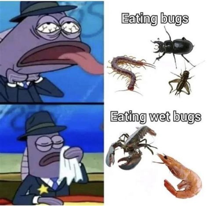 Does eating in bed attract bugs?