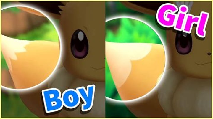 Does Eevee have a gender difference?