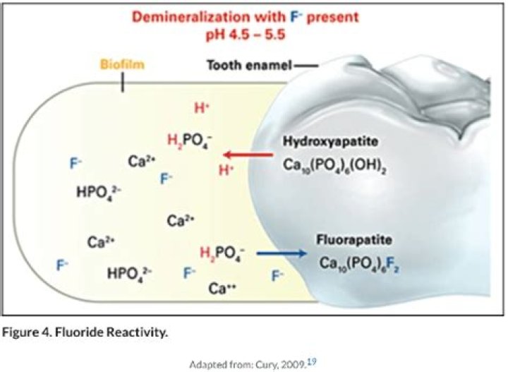 Does fluoride destroy enamel?