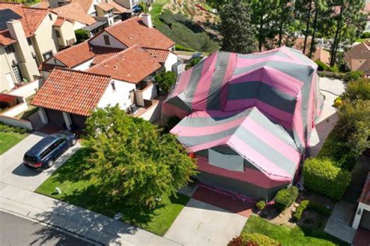 Does fumigation affect books?