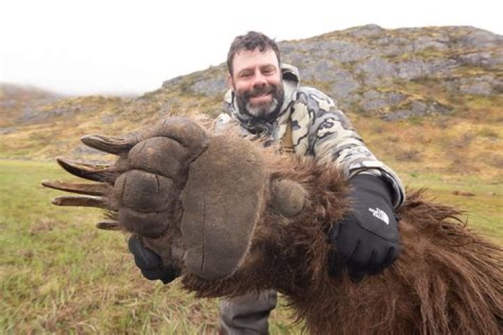 Does human pee deter bears?