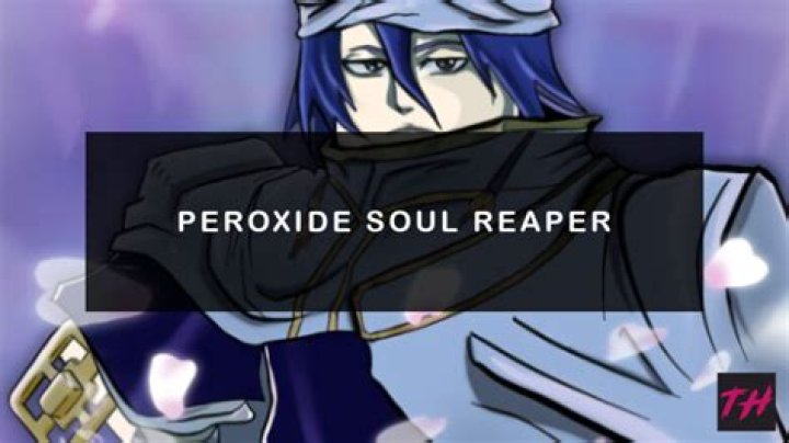 Does Ichigo become a Soul Reaper?