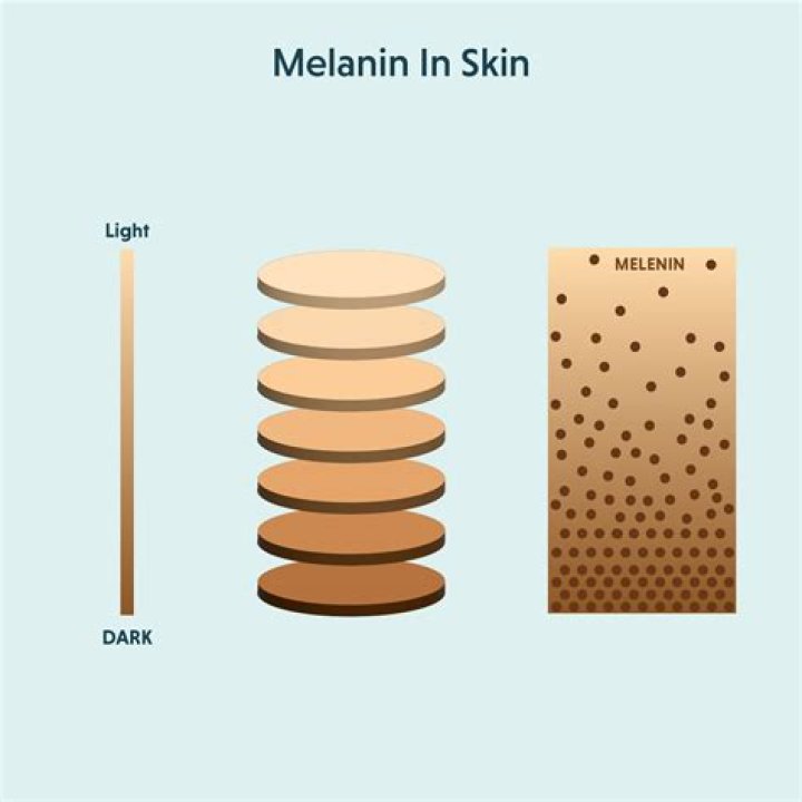 Does Indian skin have melanin?