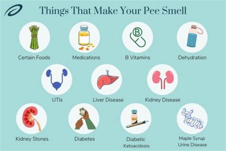 Does ketosis make your urine smell?