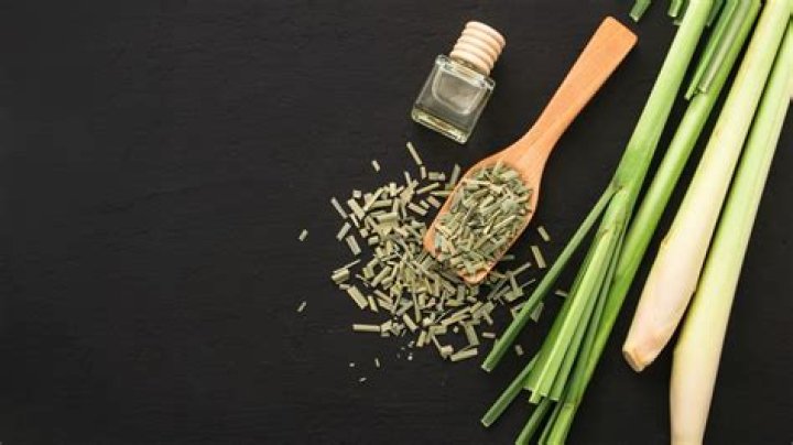 Does lemongrass oil repel silverfish?