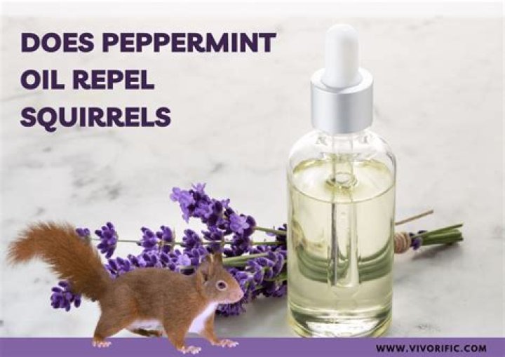 Does peppermint oil get rid of roaches?