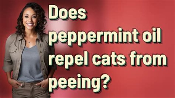 Does peppermint oil repel cats from peeing?